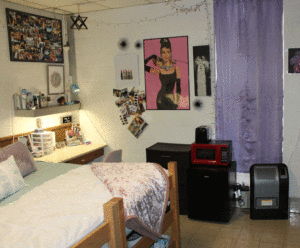 A bedroom with a bed, desk and pictures on the wall.