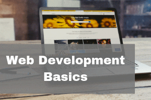 Web-Development-Basics