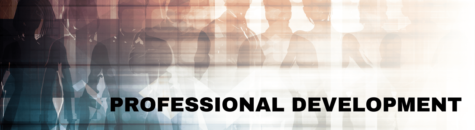 PROFESSIONAL DEVELOPMENT PROFESSIONAL DEVELOPMENT
